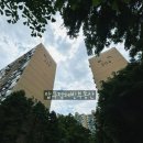 압구정-206 이미지