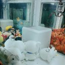 돌아이 뽑기방 이미지