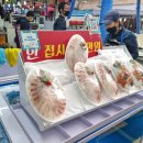 시장(바다수산) 이미지