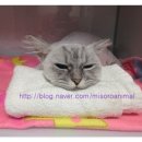 백호동물병원 이미지