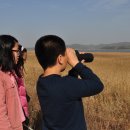 계룡초등학교 이미지