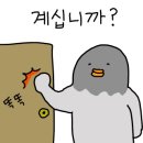 장전밀면 이미지