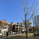 바람불어좋은날 - 함평군 영흥길 90 | [연남] 바람 불어 좋은 날 연남동 코스 후기