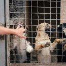 강아지와고양이나라 동물병원 이미지