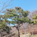 자연들마트 이미지