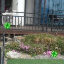 샤갈스파펜션 이미지