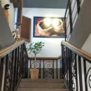 파페모에 이미지