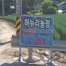 하누리 농장 이미지