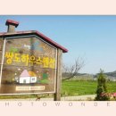 쌍도하우스 네이버블로그