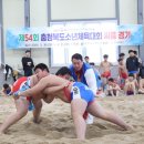 스포츠파크 씨름장 이미지