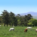 제주어 나들이 이미지