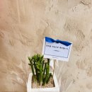 신월동178 이미지