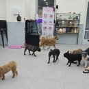 니멍내멍 이미지