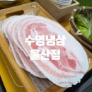 삼삼오오프리미엄 삼겹살 | 울산 달동 수영냉삼 울산점 | 부산 서초갈비 원육 그대로! 부광식육점 직공급 프리미엄 냉삼 맛집