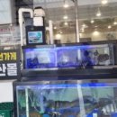 우리동네생선구이가게 이미지