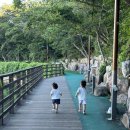 장산도서관 | 해운대 대천공원 장산계곡, 아기랑 하루 종일 즐기는 물놀이 명소
