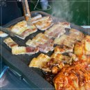 신김치생도야지