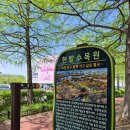 롯데하이마트 앞(계산중앙교회 방면) | 한밭수목원 피크닉 휴원 주차 웨이팅 대전 데이트 추천