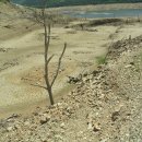 구유목장 이미지