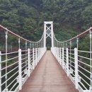 더주민행정사사무소 이미지