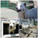 보담농장 이미지