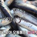 남해는, 지금 이미지