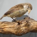 대양자원 이미지