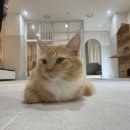 여우노래연습장 이미지