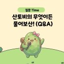 백양사 삼거리 화장실 | 남창계곡 장성 등산 입암산 등산코스 여름 산행지 추천