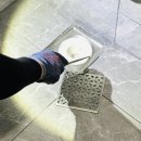 케이원클린서비스 주변 | 화장실 바퀴벌레 없애는법 해충방제 초파리 날파리 해충방역업체 케어원 으로 종결