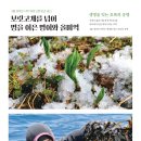 명이랑