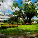 곡성-272 이미지