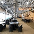 꽃피는 산골 이미지