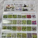 삼육사로25 | 양주농부이범석 클로렐라 쌈채소 모듬채소 20종 신선하고 맛있는 쌈야채 배송 후기