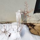 양평포레스트 스테이 이미지