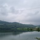 불모산장어