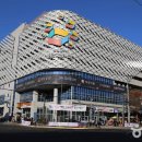 5일장 주차장 이미지