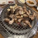 청정숯불꼼장어 | 야탑 맛집]청정숯불꼼장어 – 20년 전통집 쭈꾸미 닭발 양념꼼장어 내돈내산 솔직후기