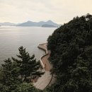 도남관광단지 네이버블로그