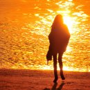 노을바다 이미지