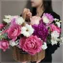 더케이 이미지