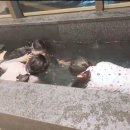 바우당구장 이미지