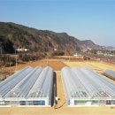 인원농장 연합뉴스