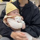 4월 둘째주