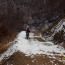 금석주유소 Daum카페