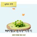 돈나무 | 돈나무 키우기 후기! 최대 10만원 현금 보상, 쉬운 현금 리워드 챙기는 법