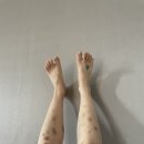와이비버스 이미지