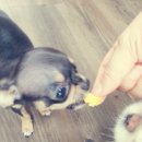 백일세탁소 이미지