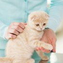 24시이스턴동물의료센터 이미지