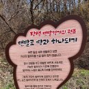 해피로드